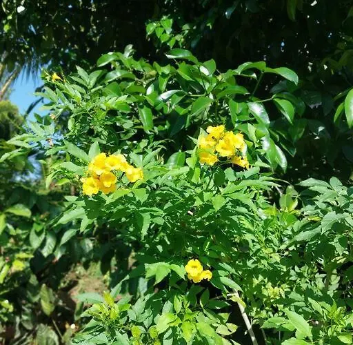 Jungle Haven - Private Riverside