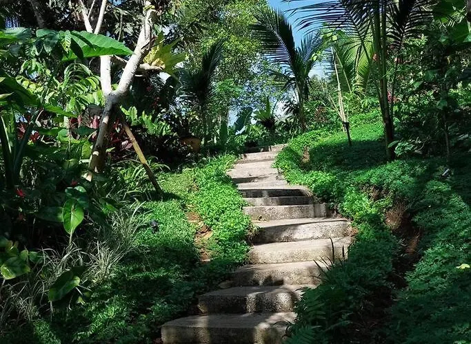 Jungle Haven - Private Riverside Dağ evi