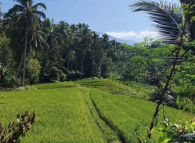 Jungle Haven - Private Riverside *