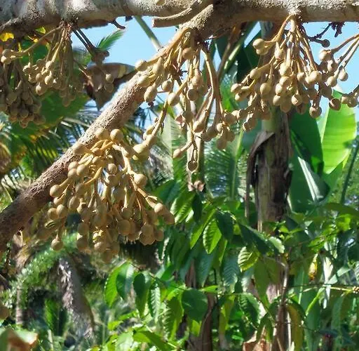 Jungle Haven - Private Riverside