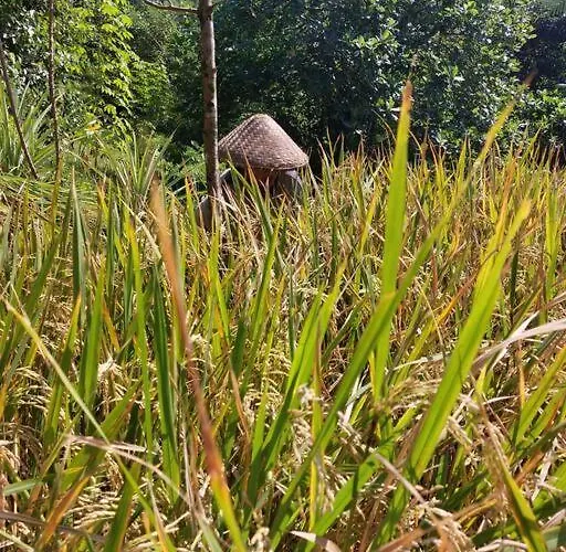 Dağ evi Jungle Haven - Private Riverside Meliling