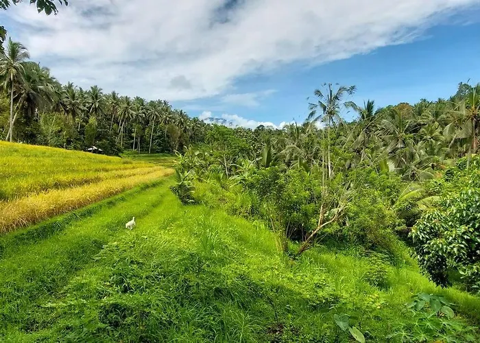 Jungle Haven - Private Riverside Meliling