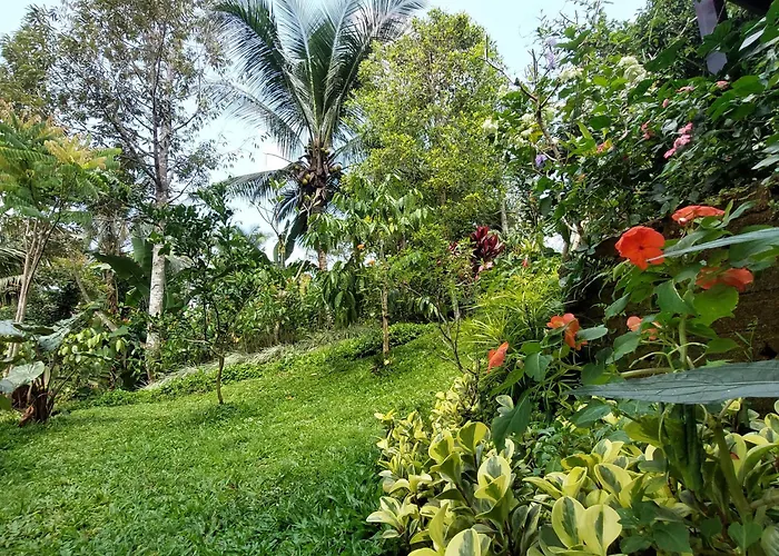 Dağ evi Jungle Haven - Private Riverside Meliling